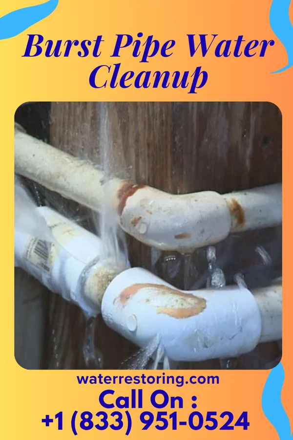 Burst Pipe Water Cleanup in Spring Ridge, PA