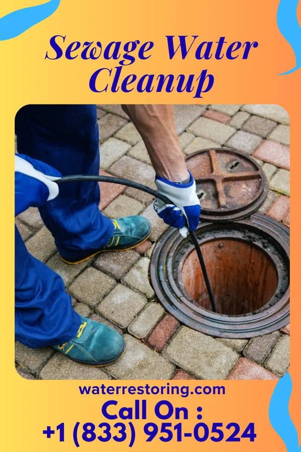 Sewage Water Cleanup in Spring Ridge, PA