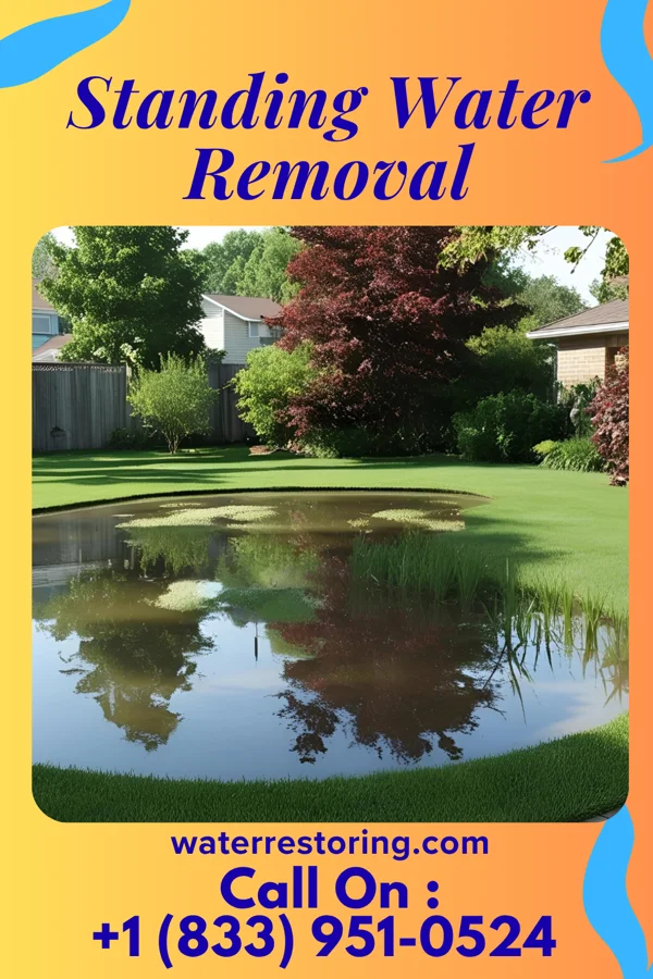 Standing Water Removal in Spring Ridge, PA
